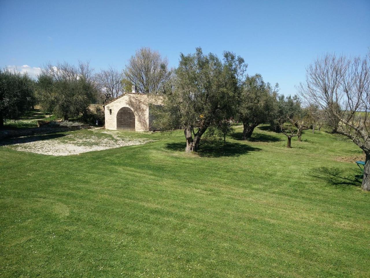 Agriturismo Mondomini Campofilone Exterior photo
