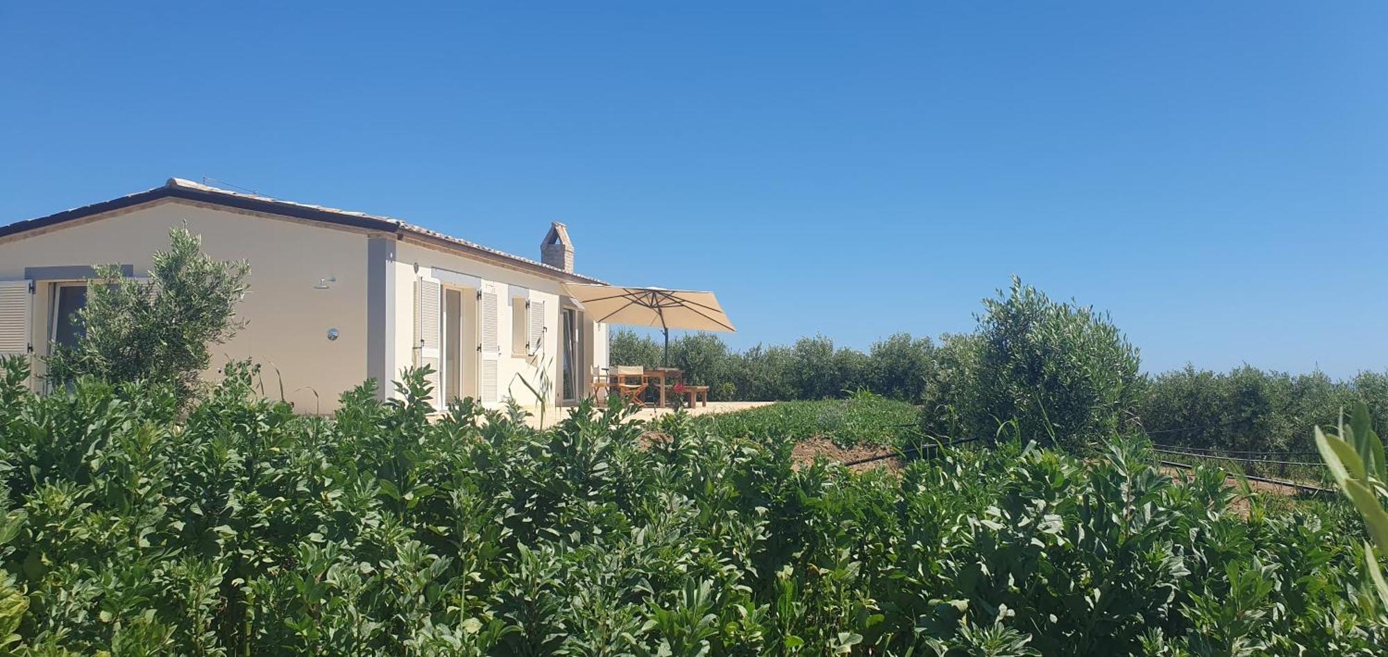 Agriturismo Mondomini Campofilone Exterior photo